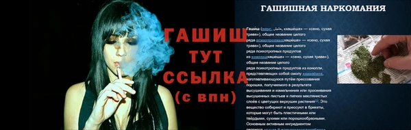 стаф Балахна