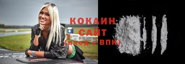 стаф Балахна