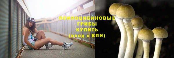 СК Балабаново