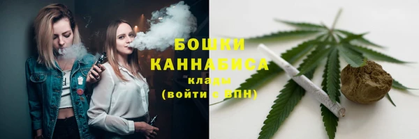 PSILOCYBIN Баксан