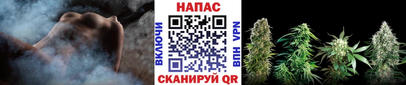 Конопля тримм  Коряжма 