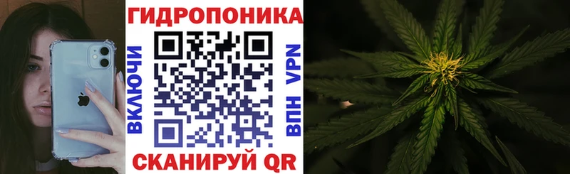 Шишки марихуана AK-47 Коряжма